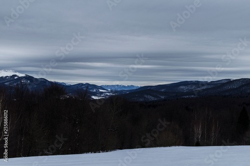 Fototapeta Naklejka Na Ścianę i Meble -  Bieszczady zimą