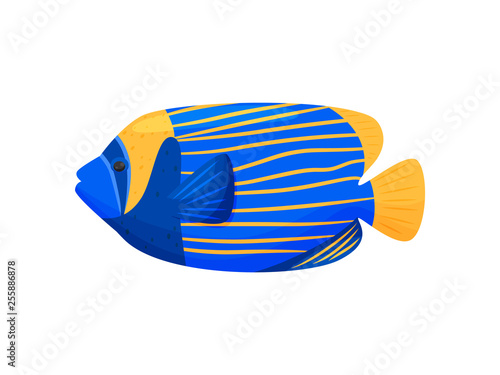 Blue fish on white background. Water life.