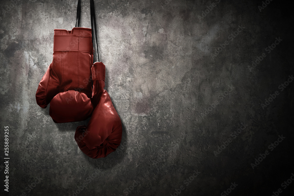 Old School Boxing перчатки