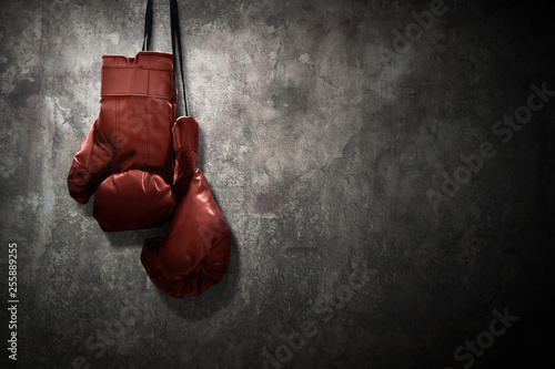 Boxing gloves hanging © fotokitas