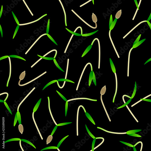 Microgreens Carrot. Sprouting seeds of a plant. Seamless pattern. Vitamin supplement  vegan food.