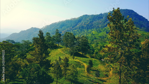 Rangala Sri Lanka photo