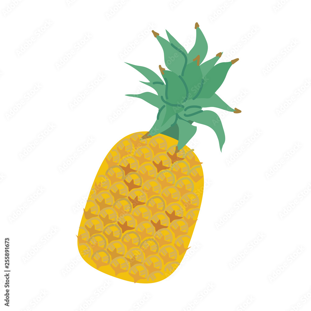 パイナップル イラスト Stock Vector Adobe Stock パイナップル イラスト Stock Vector Adobe Stock