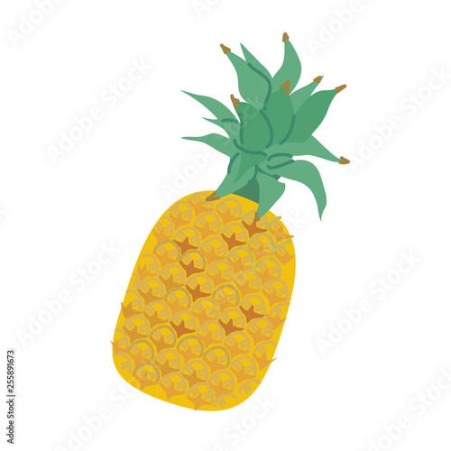 パイナップル イラスト Stock Vector Adobe Stock