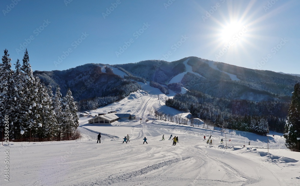 快晴の日本のスキー場