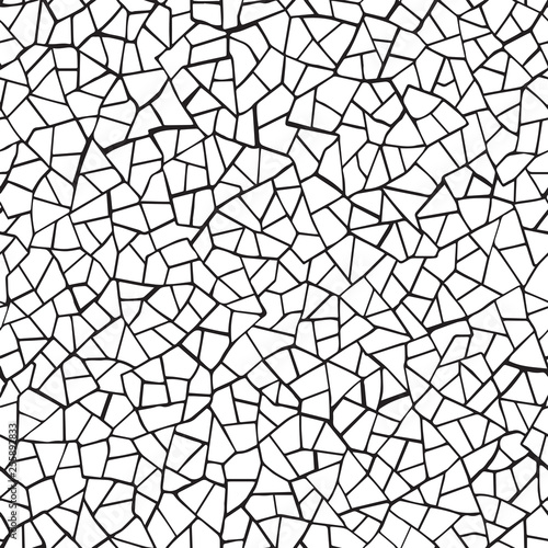 The cracks texture white and black. Vector background.Cracked earth. Structure of cracking. Cracks in dry surface soil texture. shards
