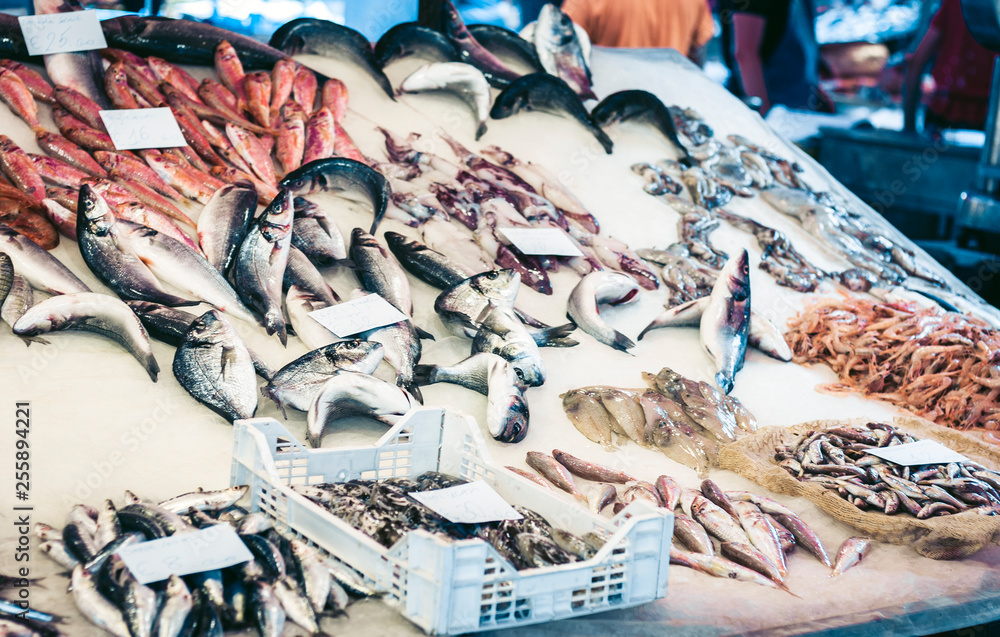 Fresh fish and seafood for sale in the fish market of Catania, Sicily, Italy. Fresh fish and seafood for sale in the fish market of Catania, Sicily, Italy.
