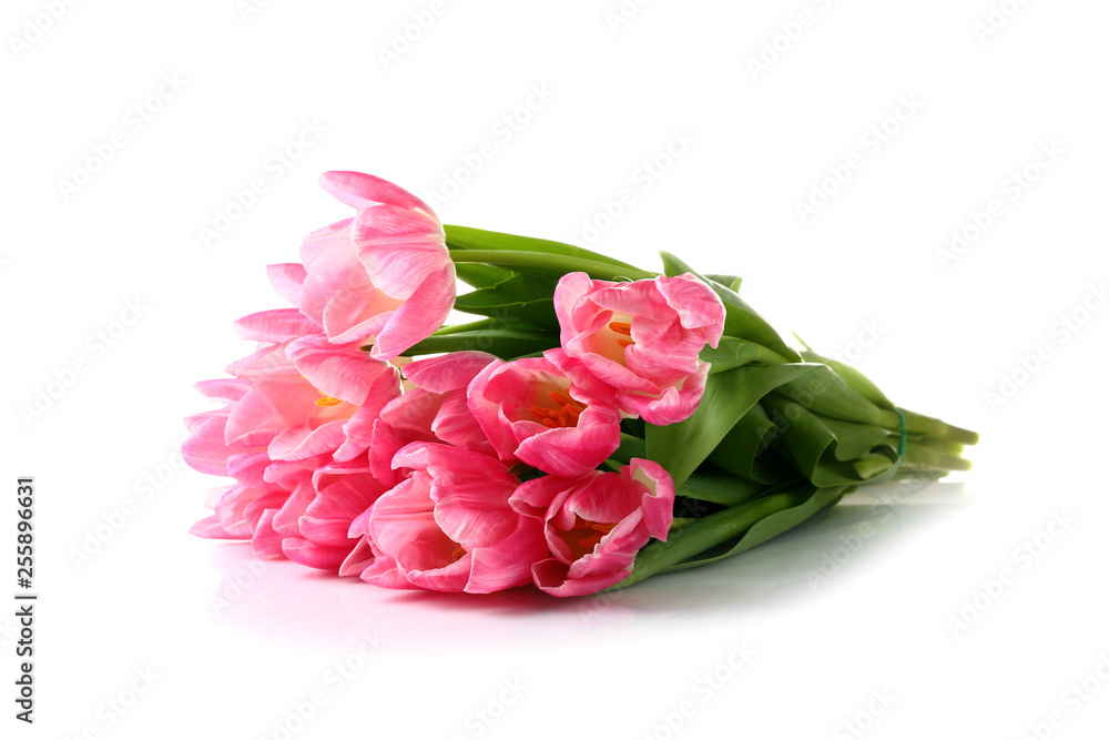 Bouquet of beautiful pink tulip flowers on white background Bouquet of beautiful pink tulip flowers on white background