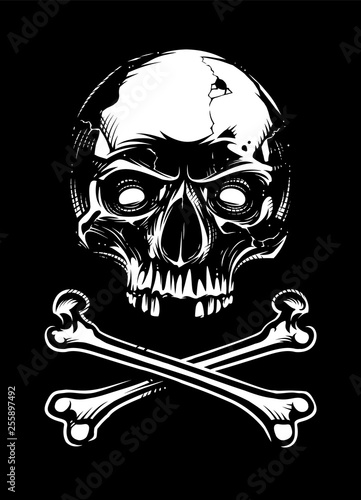 White Skull with Bones on Black Background