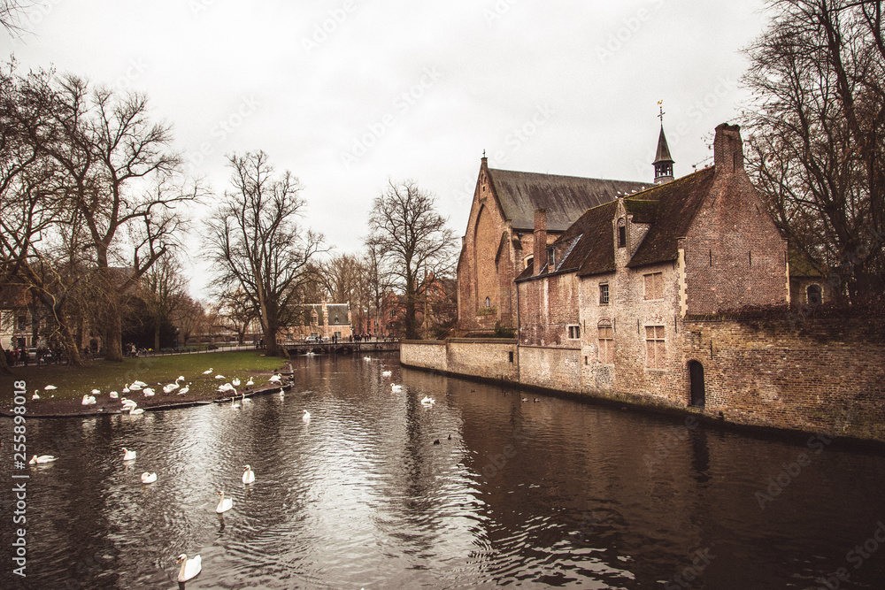 Obraz premium View of Brugge, Belgium