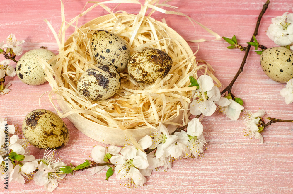 Easter background. Spring flowers and eggs on wooden backround. Space for text Easter background. Spring flowers and eggs on wooden backround. Space for text