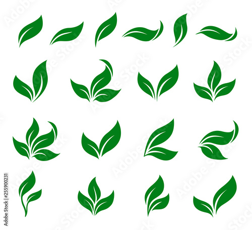abstract green leaf isolated icons design set