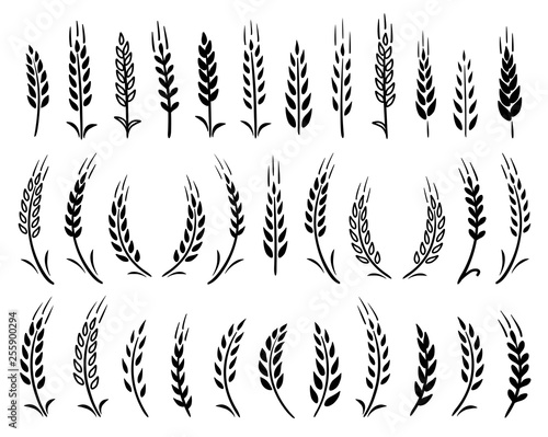 set of black hand drawn wheat ears icons