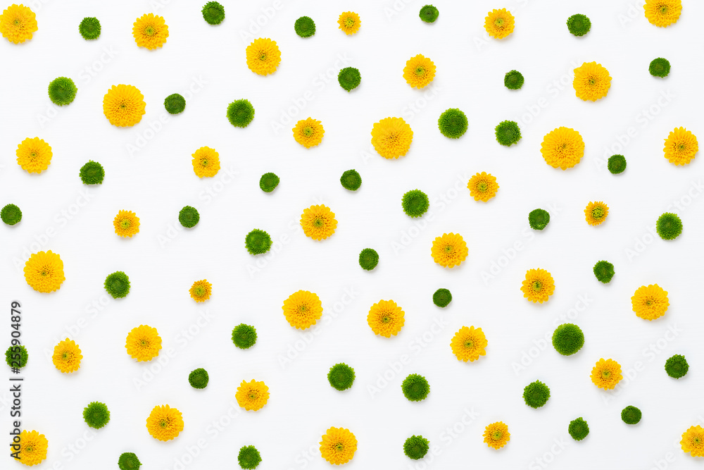 Flowers composition. Pattern made of yellow flowers on white background. Flat lay, top view.