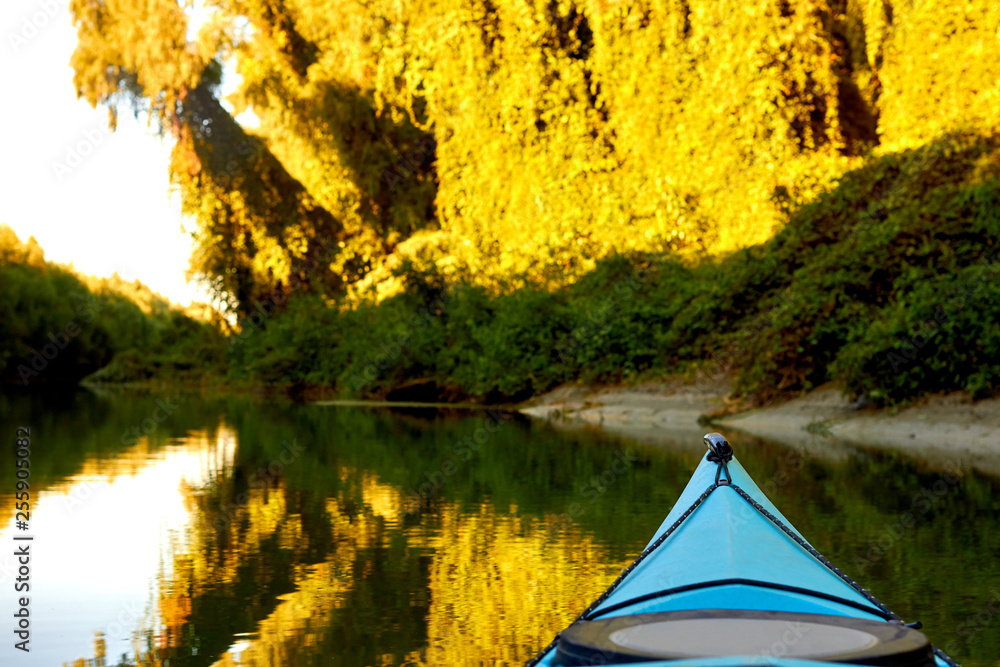 Prow (bow, nose) of blue kayak against of overgrown green thick thickets of trees and wild grapes illuminated by the rays of the setting sun at the shore of Danube river