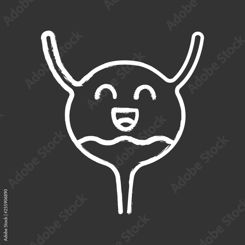 Smiling urinary bladder chalk icon