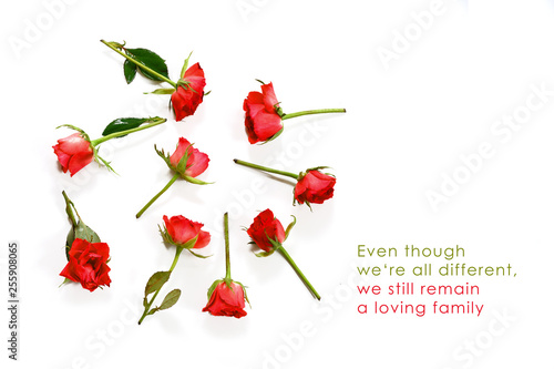 red roses in a circle on a white background with copy space and sample text Even though we‘re all different, we still remain a loving family