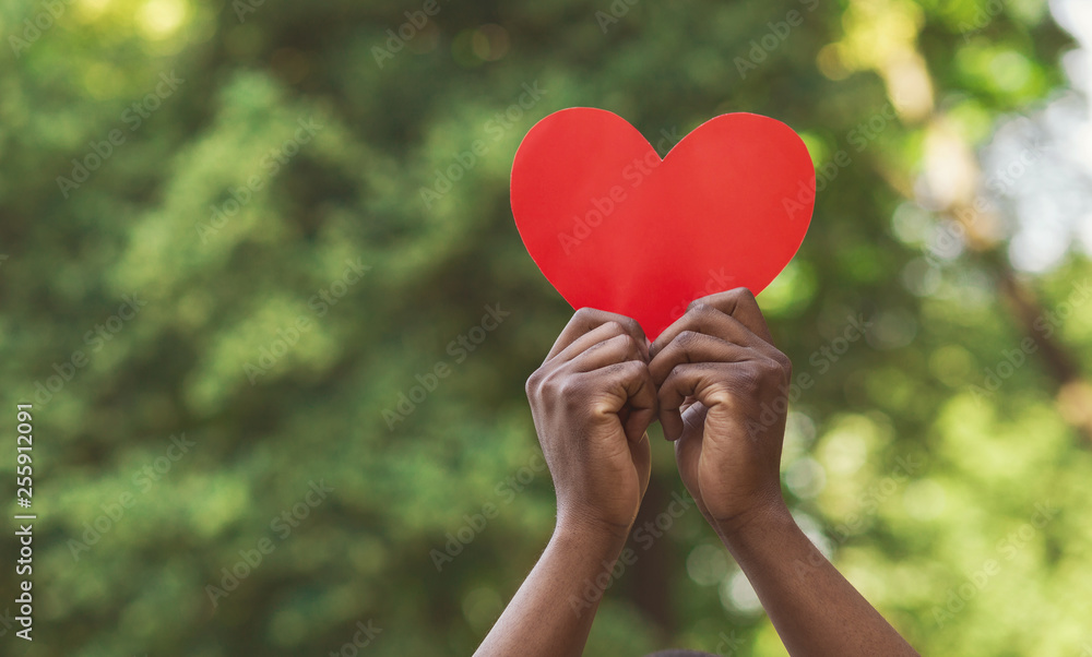 Black hands holding red paper heart on green background