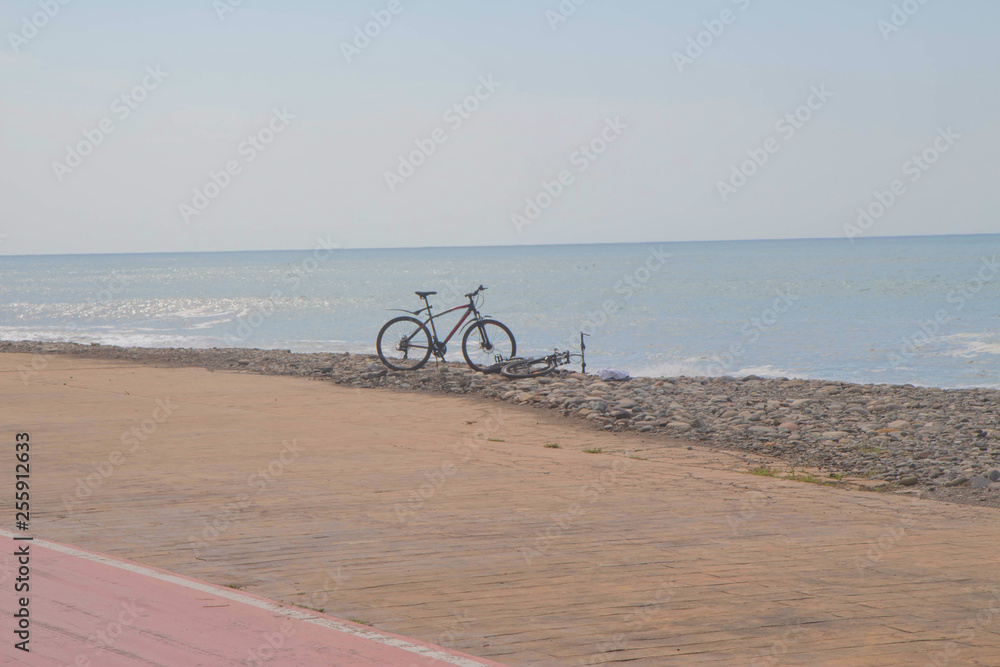 Fototapeta premium bicycle beside road in Batumi. Bike near the sea