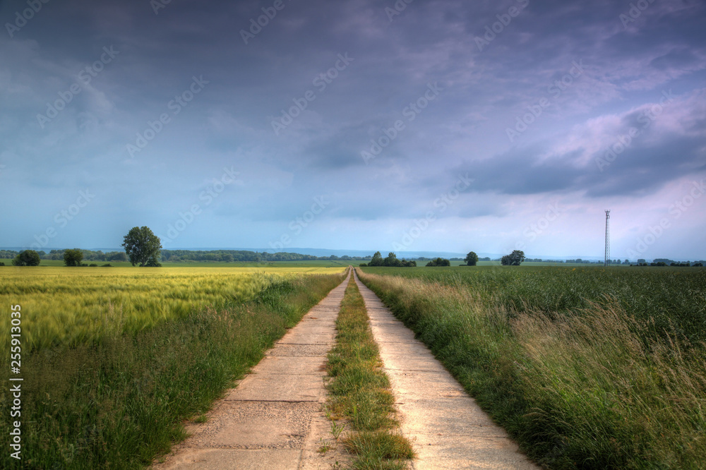 Feldweg 