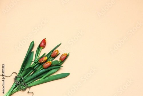 Spring tulips background. Flat lay bouquet of tulips. Frame with red yellow tulips. Spring flowers lovely background