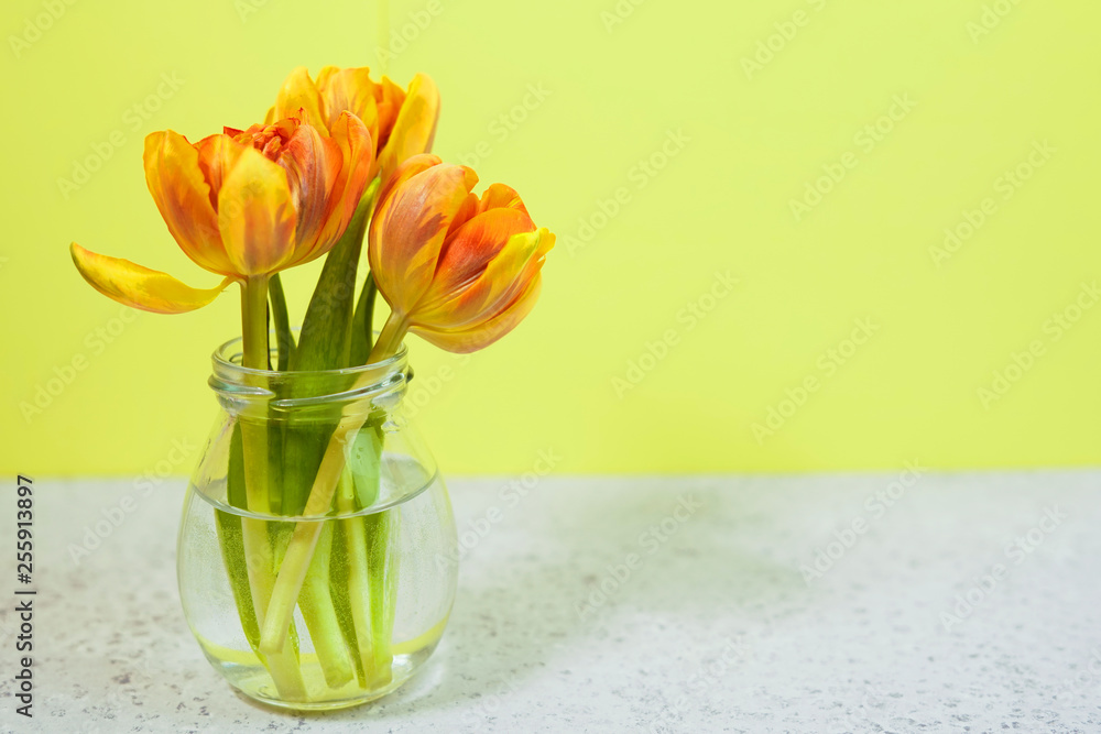 Row of tulips in vase on coloful background with space for message. Mother's Day background.