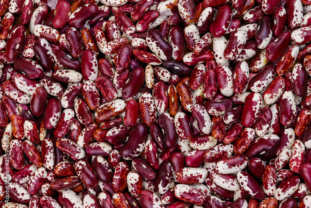 Background of the raw kidney beans Background of the raw kidney beans