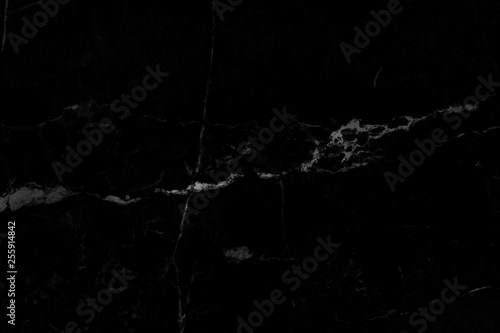 Abstract Black marble background with natural motifs.