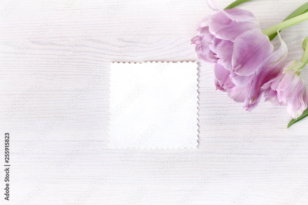 white card without inscriptions and bouquet of tulips top view. delicate holiday greetings white card without inscriptions and bouquet of tulips top view. delicate holiday greetings