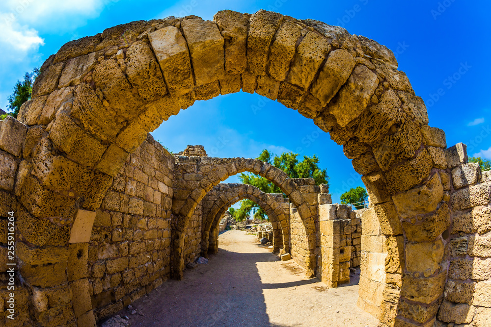 Obraz premium Excursion to the Archaeological Park