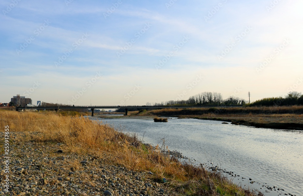 風景 思川 春 橋 とちぎ 風景 思川 春 橋 とちぎ