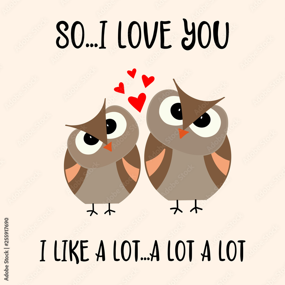 Fototapeta premium Funny Valentine's day card with birds couple