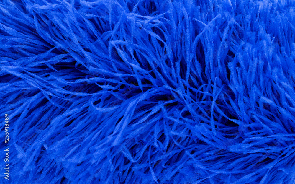 Fototapeta premium Bule feathers Background