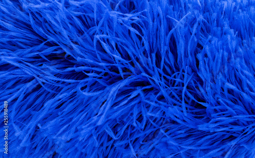 Bule feathers Background
