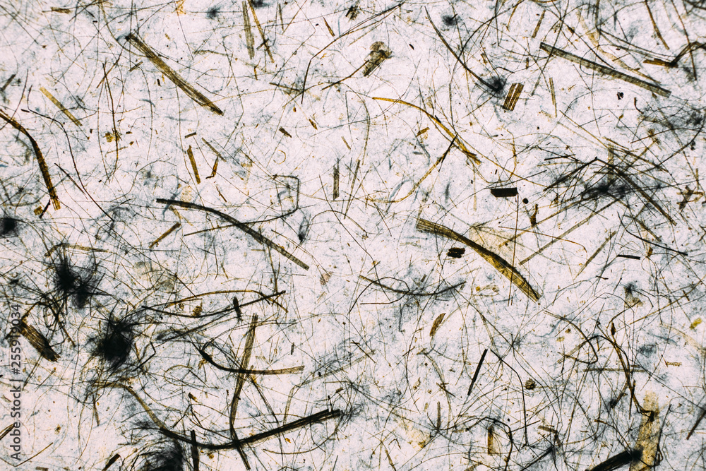 White and grey abstract texture and background for design. Close up view of vintage texture and background.