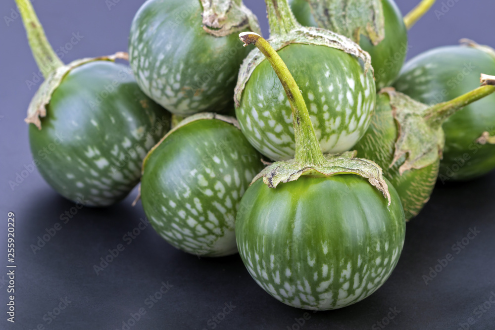 Thai Eggplant - scintific name is (Solanum virginianum L.) Thai Eggplant - scintific name is (Solanum virginianum L.)