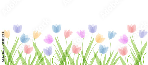 Flat horizontal background template with hand drawn pastel colors tulips. Spring flowers. Elements for design, scrapbooking, pacaging, wallpaper