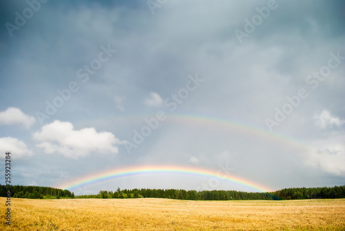 Fantasy landscape background. Rainbow landscape on colorful background.
