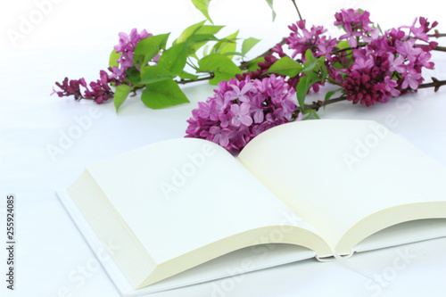 ライラックの花と白い見開きの本 © HanaPhoto