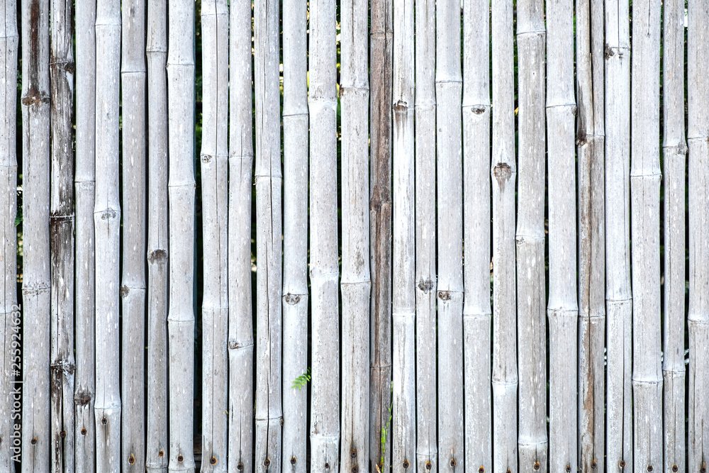 Bamboo fence wall background and texture. Bamboo fence wall background and texture.