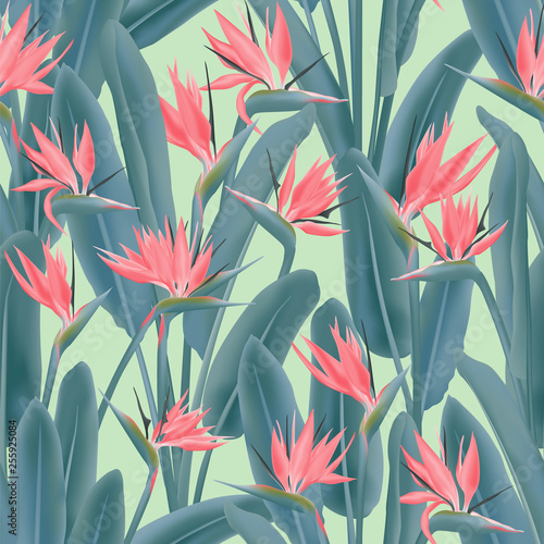 Strelitzia reginae tropical flower vector seamless pattern. Jungle plant paradise tropical summer fabric design. South African plant tropical blossom of crane flower, strelitzia. Floral wallpaper.