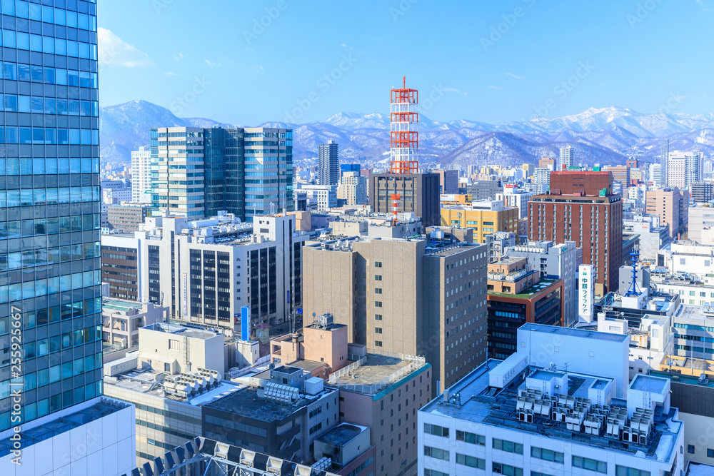 Fototapeta premium 札幌の街並み