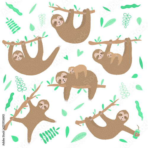 Vector collection of cute sloths. Hand-drawn cartoon illustration of a sloth hanging on a branch for children, a tropical summer, holiday, greeting card, banner, nursery, print, mother's day