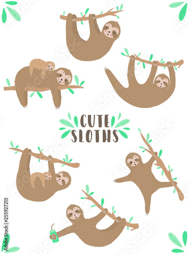 Vector set of funny sloths. Hand-drawn cartoon illustration of a sloth hanging on a branch for children, a tropical summer, holiday, card, banner, nursery, print, mother's day, mom, fabric