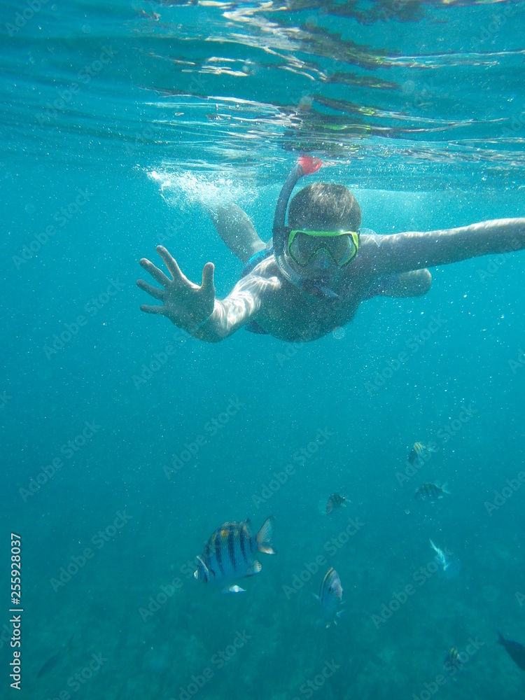 Young man in mask and snorkel dives with fishes. Underwater photo