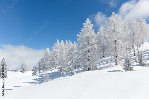 Winter wonderland in the Austrian Alps