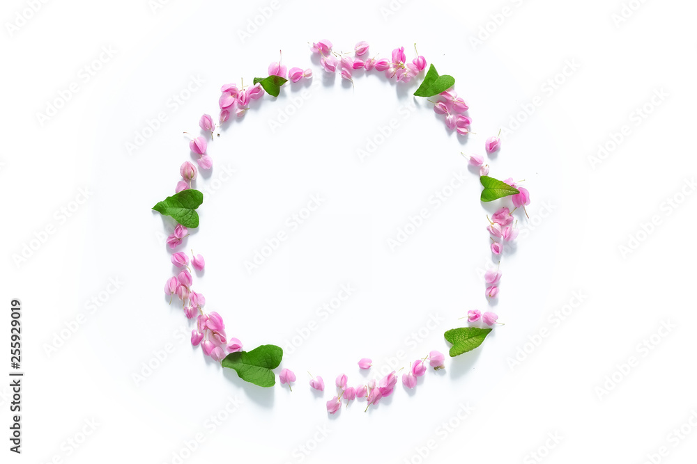 flat lay of Flower crown ,floral wreath circle made from pink flowers isolated on white background, top view. flower creative composition with copy space