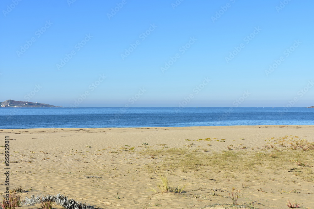 Beach with golden sand, grass and blue sky. Galicia, Spain.
