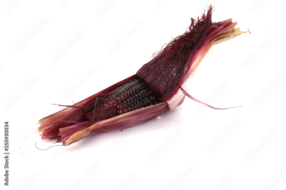 Obraz premium black corn, Black corn with peel on white bckground