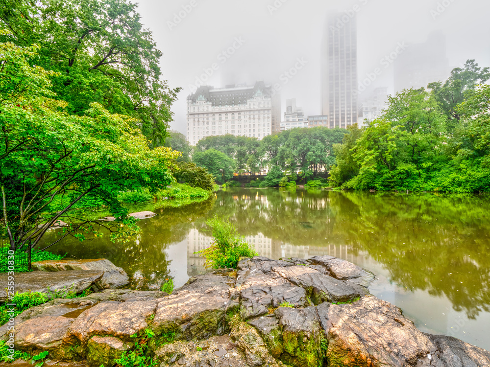 Central park on foggy wet day